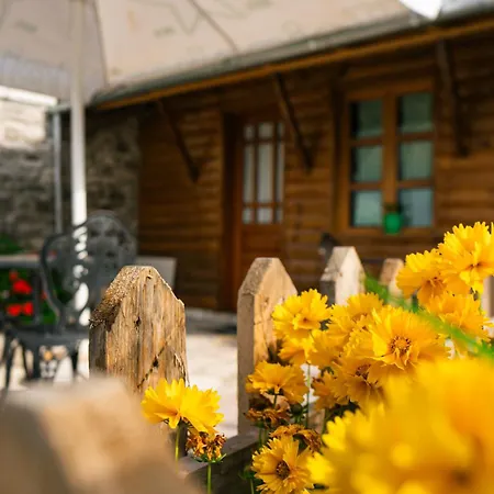 Sokaku I Te Marreve Gjirokastër